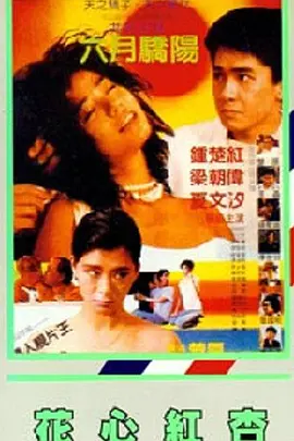 www黄色免费